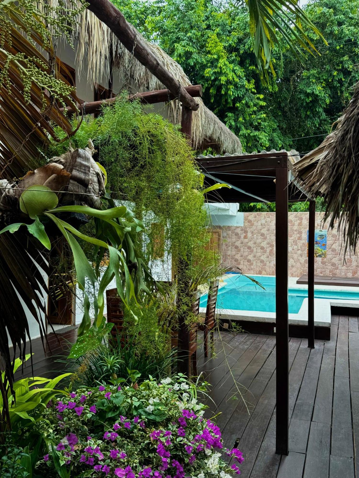 Hostal Nibuni Palomino Ngoại thất bức ảnh