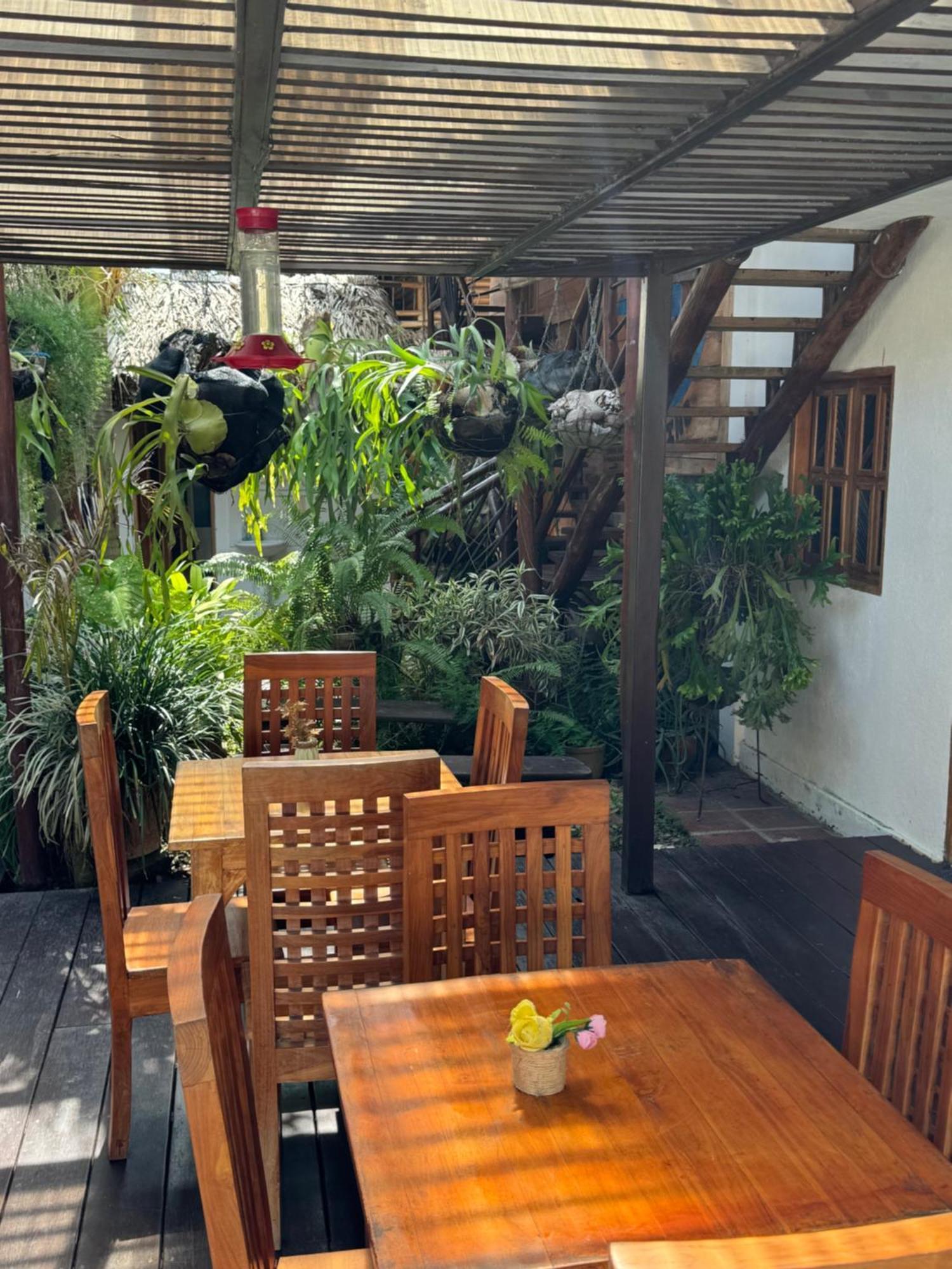 Hostal Nibuni Palomino Ngoại thất bức ảnh