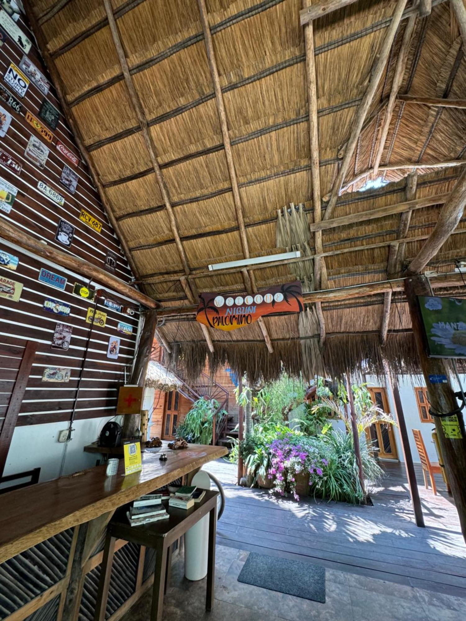 Hostal Nibuni Palomino Ngoại thất bức ảnh