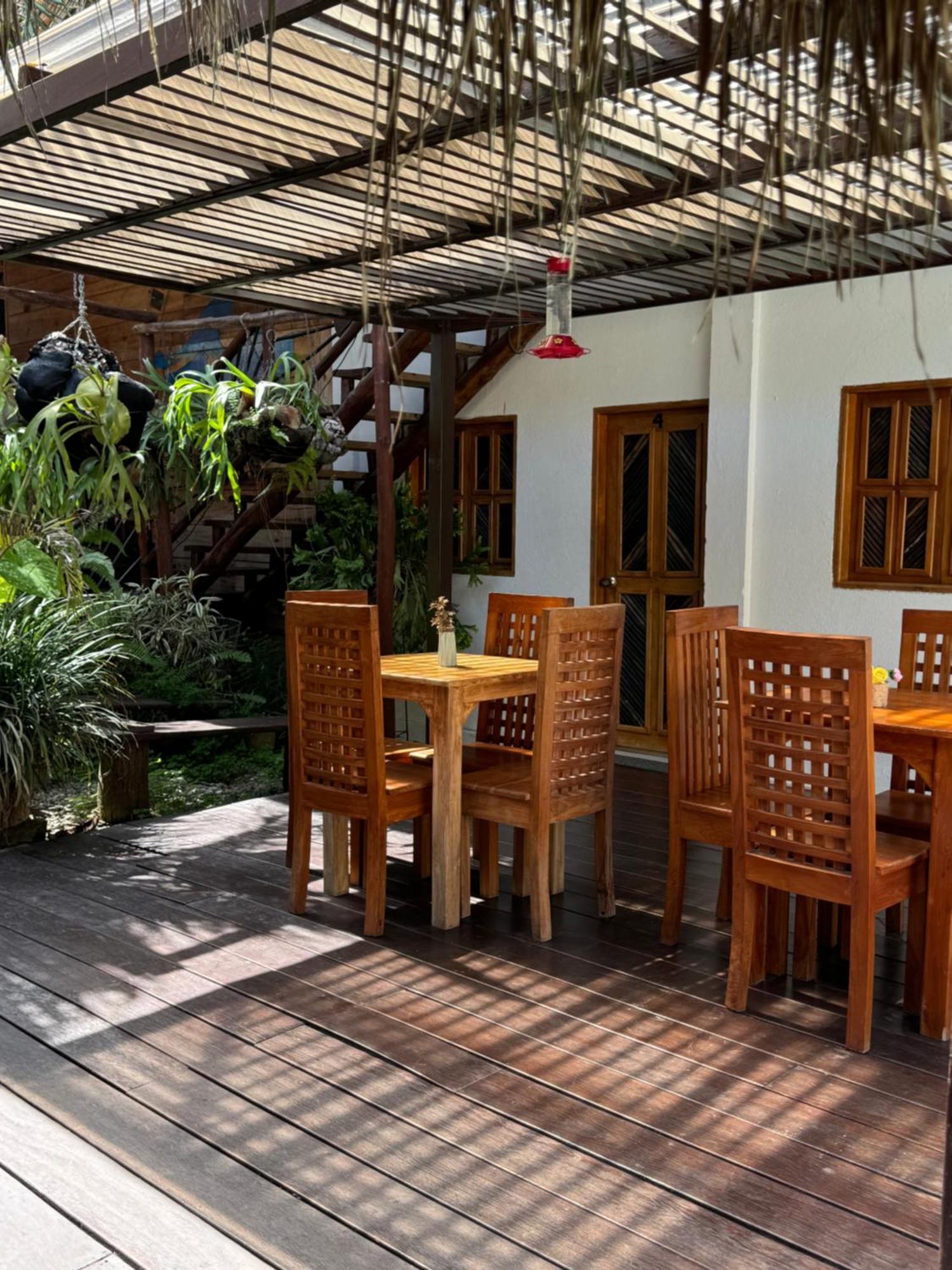 Hostal Nibuni Palomino Ngoại thất bức ảnh