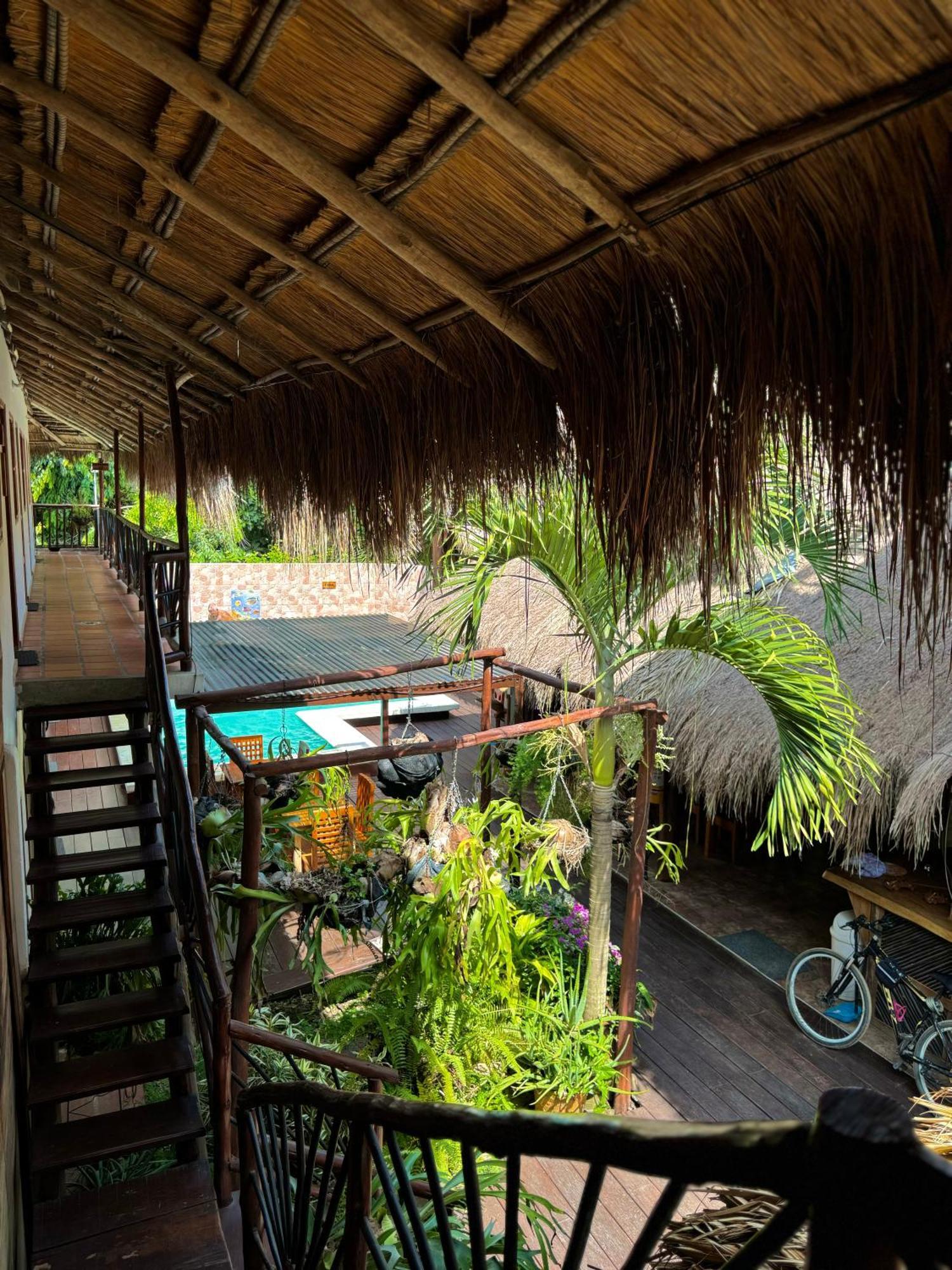 Hostal Nibuni Palomino Ngoại thất bức ảnh