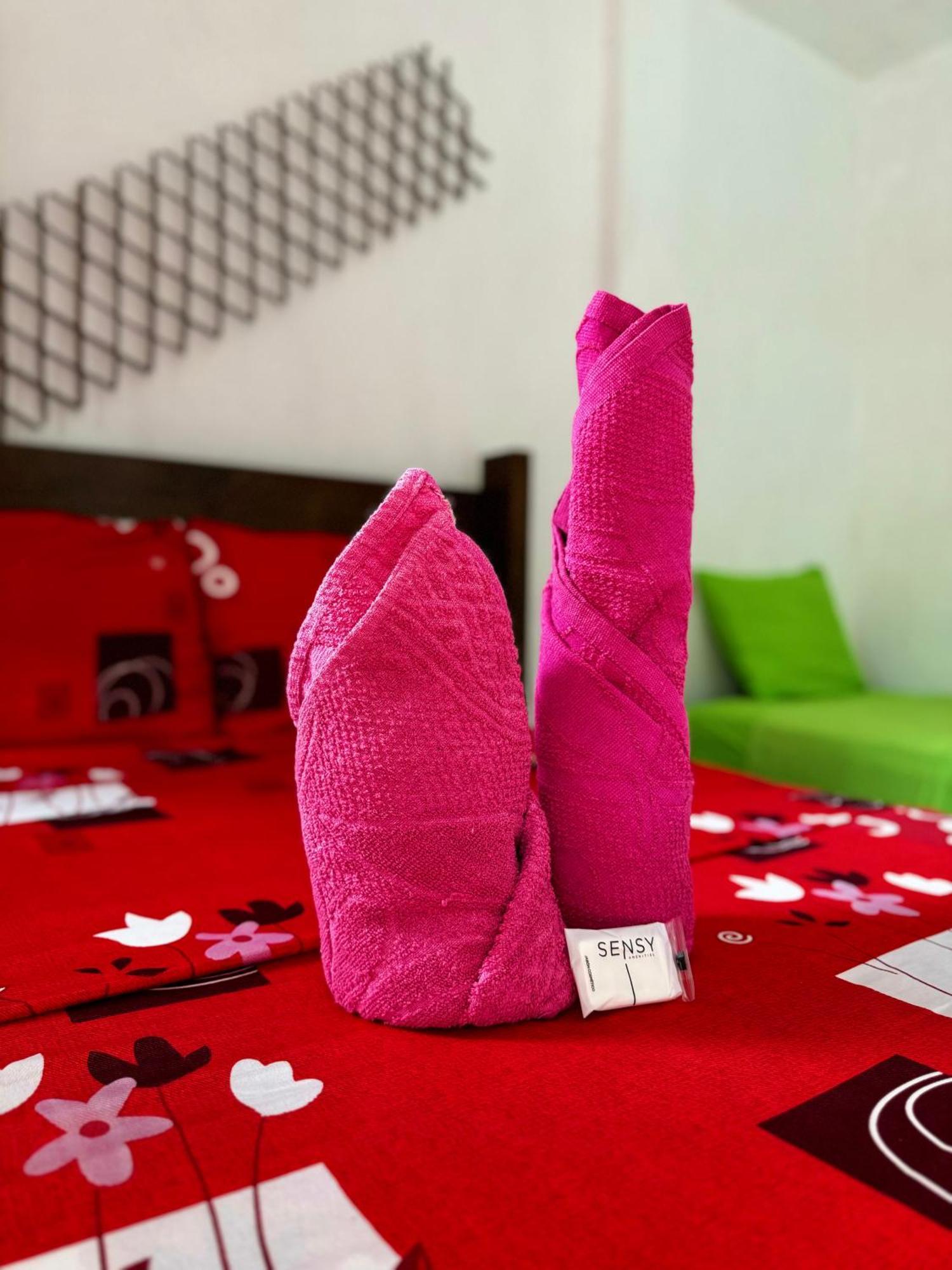 Hostal Nibuni Palomino Ngoại thất bức ảnh