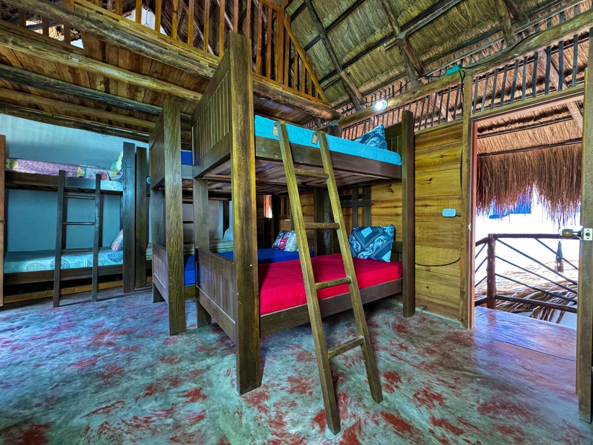 Hostal Nibuni Palomino Ngoại thất bức ảnh