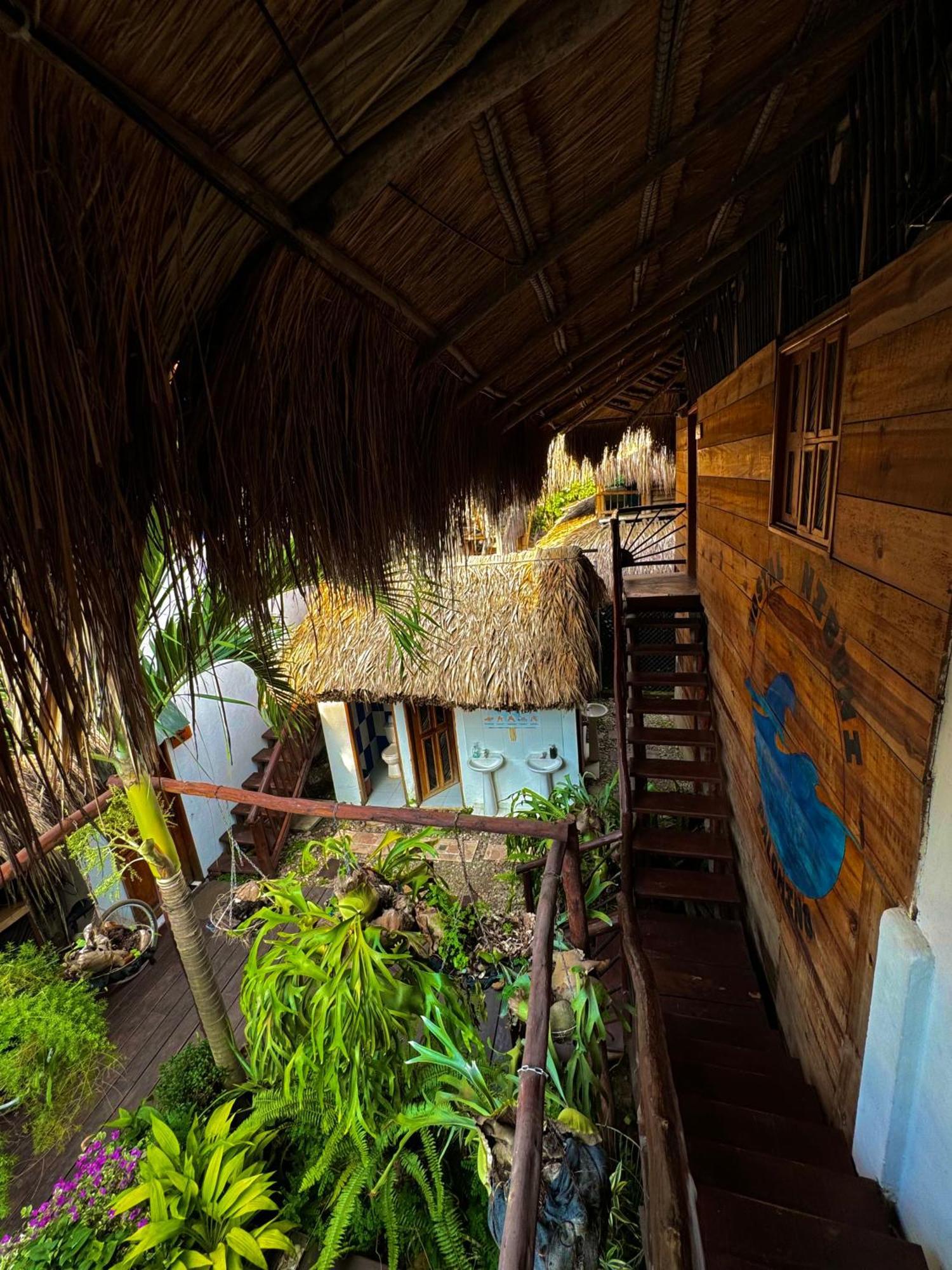 Hostal Nibuni Palomino Ngoại thất bức ảnh