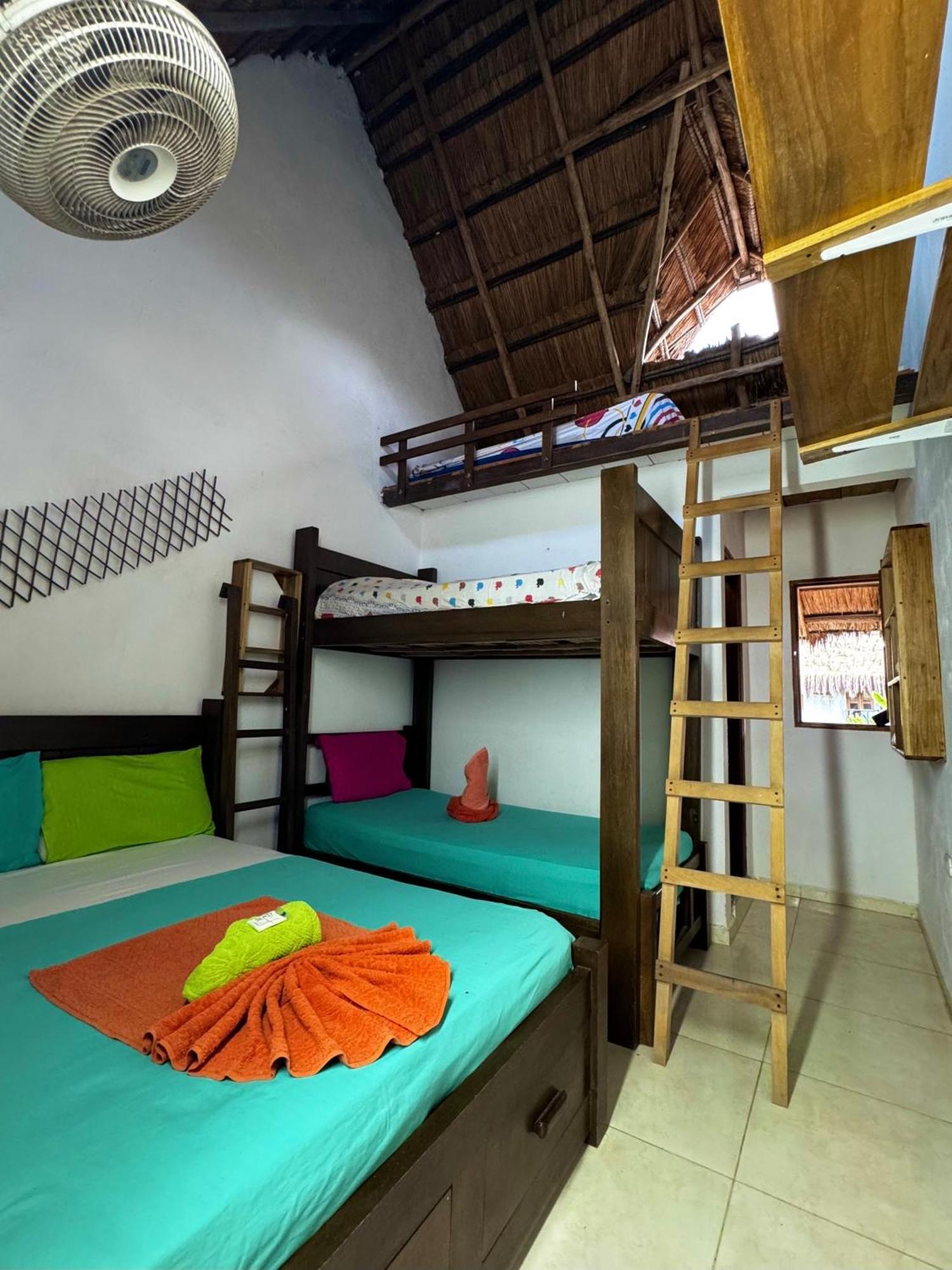Hostal Nibuni Palomino Ngoại thất bức ảnh